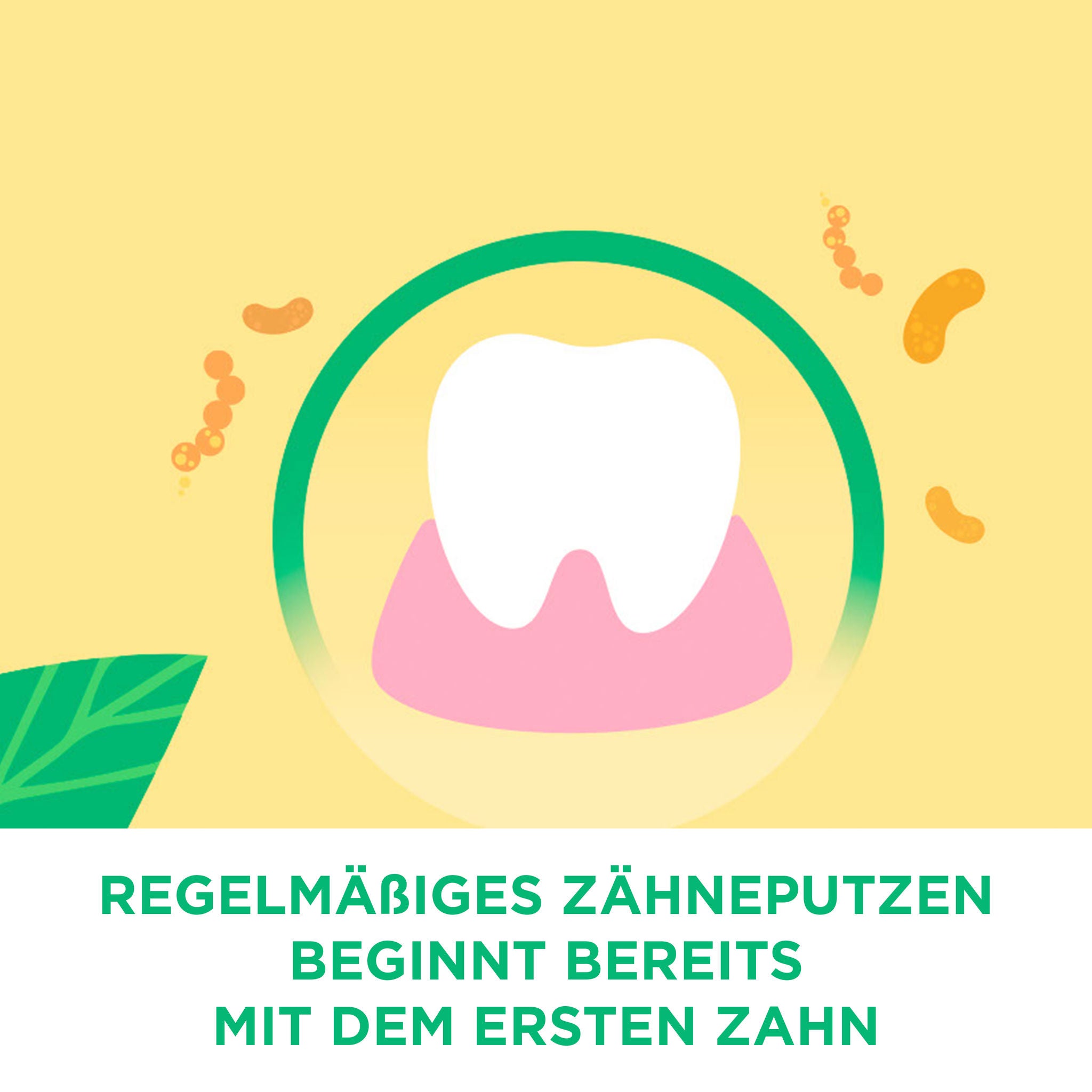 GUM BABY Zahnbürste wird in der Hand gehalten
