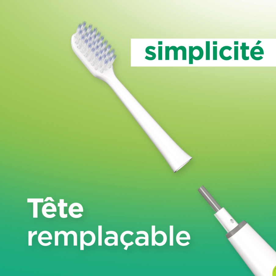 GUM SONIC DAILY remplacement facile des têtes