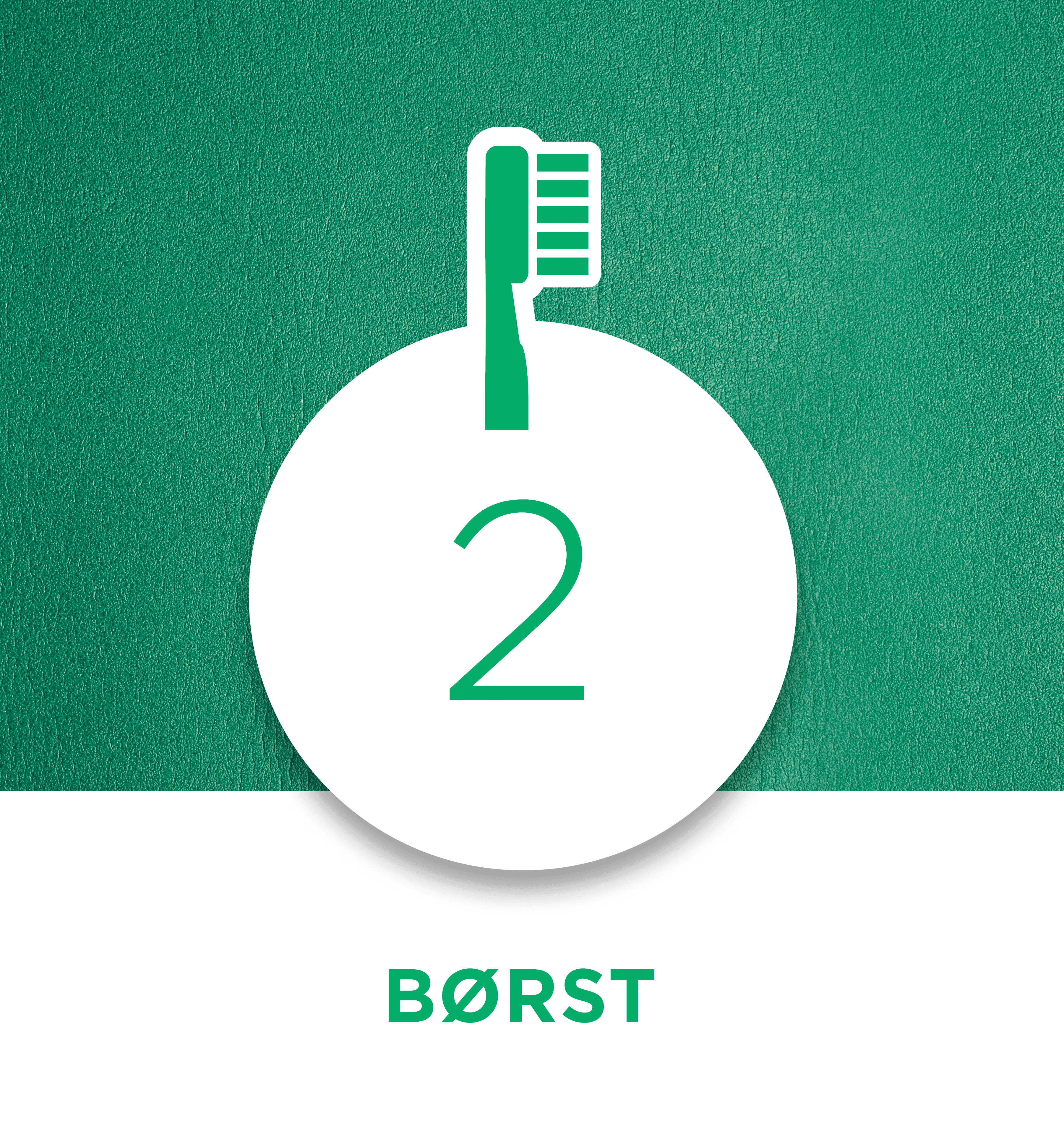 Nr 2 - Borsta