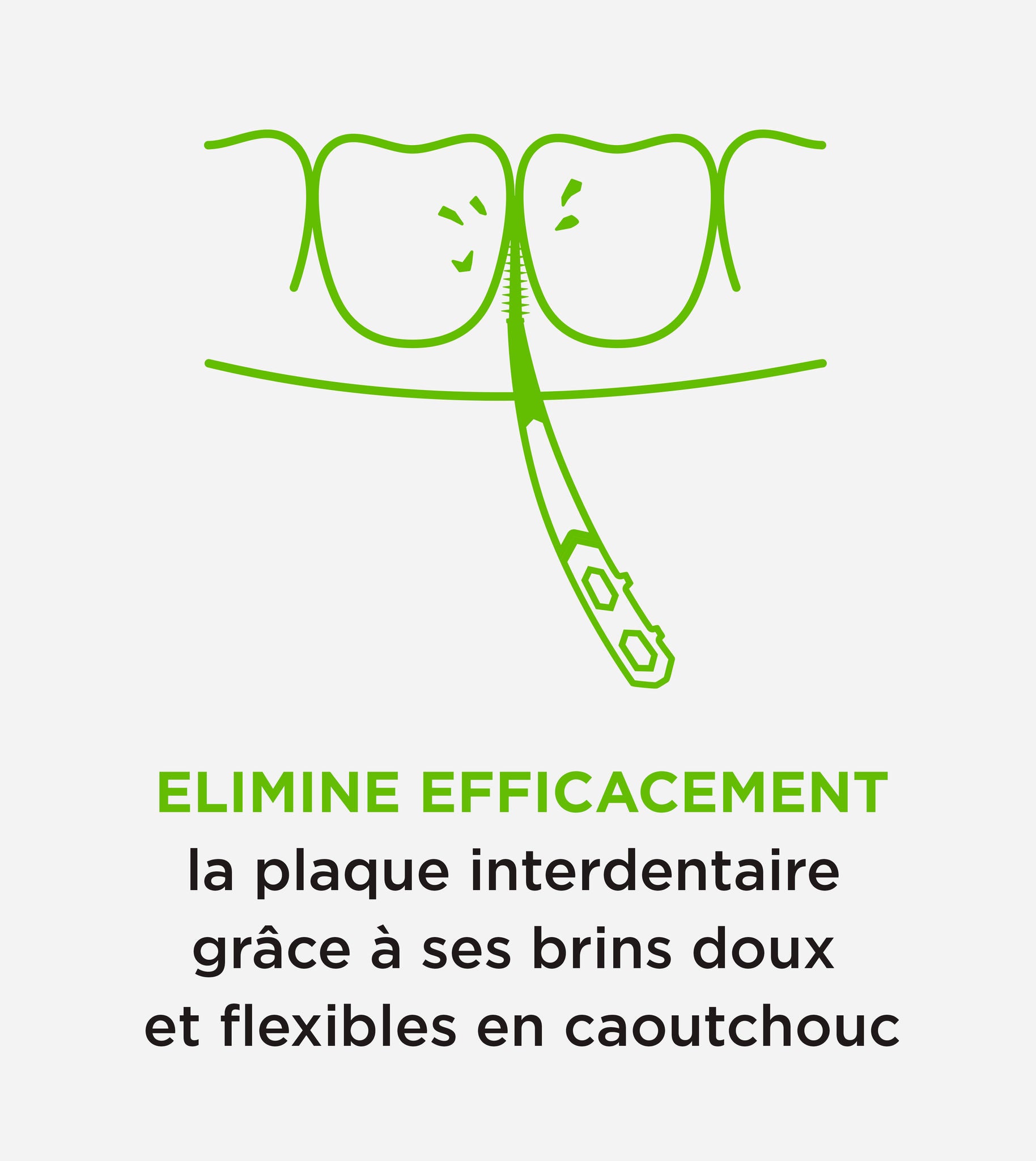 Entretenez efficacement avec des poils en caoutchouc souples et flexibles qui éliminent les débris alimentaires et plus de plaque.