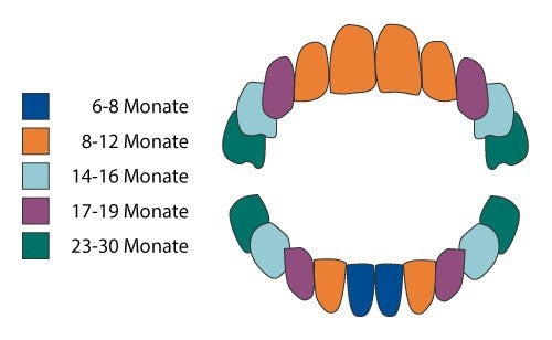 Development-of-the-milk-bite-DE.jpg