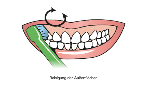 toothbrushing-cleaning-outer-surfaces.png