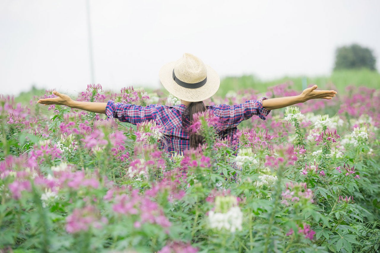 Vivere green: l'importanza delle buone abitudini