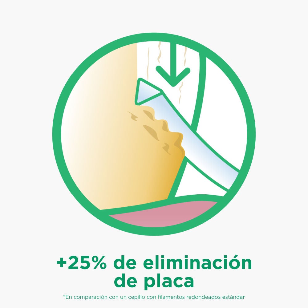 Filamento triangular elimina un 25% más de placa