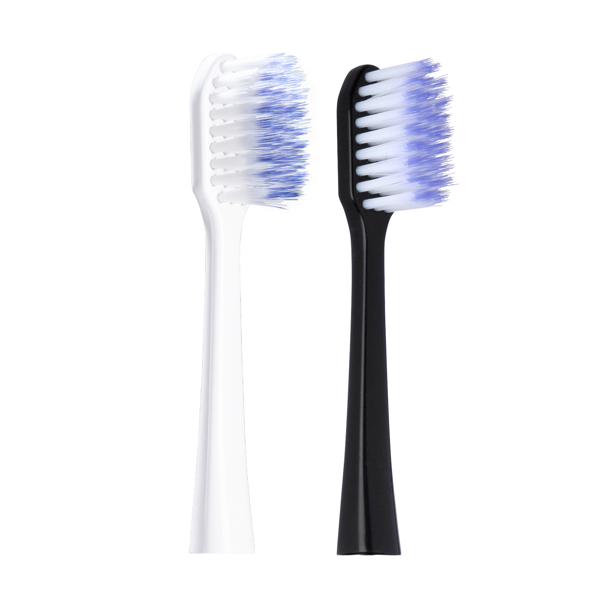 GUM® SONIC DAILY Battery Toothbrush Refill Head