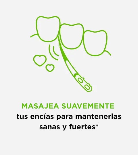 Masajea suavemente tus encías para mantenerlas sanas y fuertes