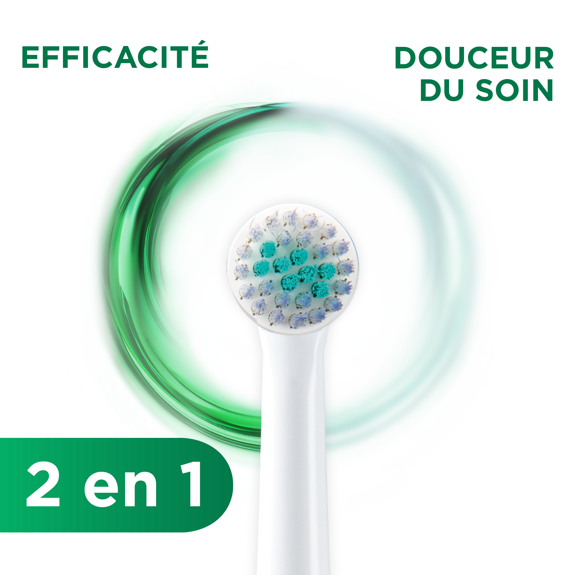 P4210-FR-GUM-PowerCare-TB-Head-2-in-1.png