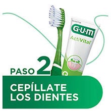 Cepillo de dientes GUM PRO y pasta de dientes GUM ActiVital para cepillarse los dientes como segundo paso