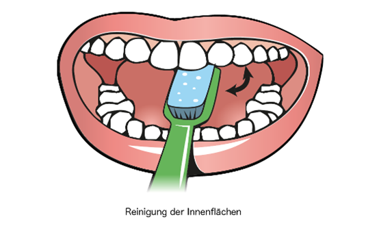 Toothbruhsing-cleaning-inner-surfaces.png