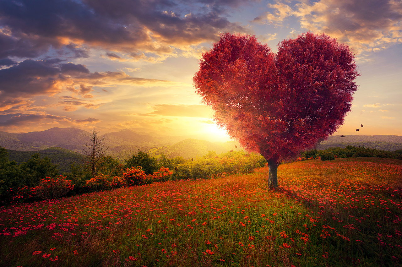 A red heart shaped tree at sunset