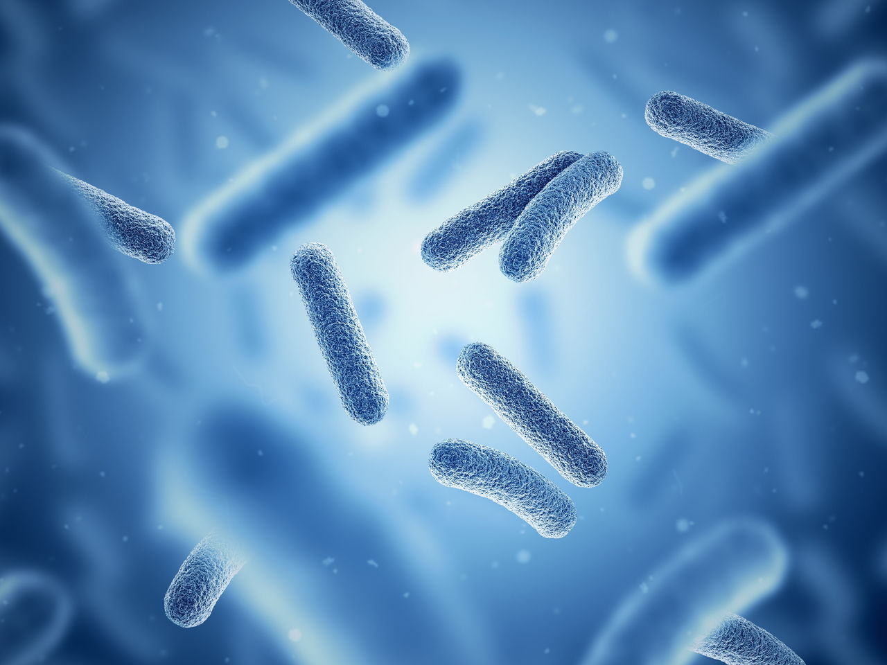 Bacteria. Bacterium. Blue color. Prokaryotic microorganisms. 3d illustration., Bacteria. Bacterium. Blue color. Prokaryotic microorganisms. 3d 