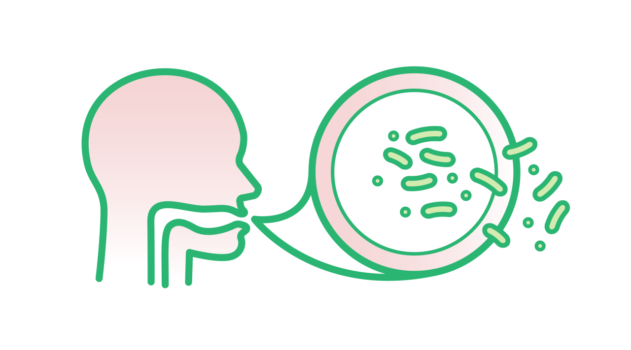 How Does Plaque Form & Why You Should Care About It?