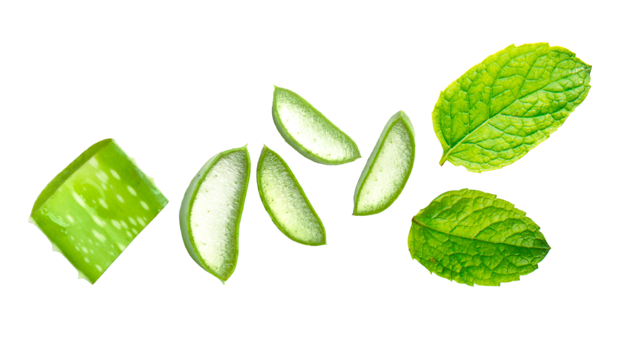 Vegansk tandkräm